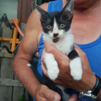 Photo de Chaplin