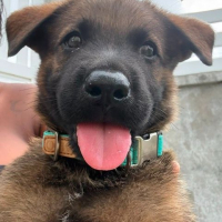 Photo de PAKO