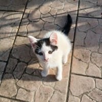 Photo de CINNA