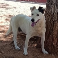 Photo de Kira 2