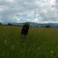 Photo de LUNNA