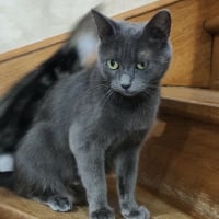 Photo de ASIA
