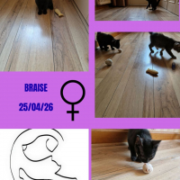 Photo de Braise
