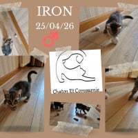 Photo de IRON
