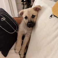 Photo de MOKA