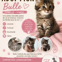 Photo de Bulle
