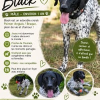 Photo de Black