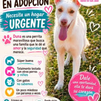 Photo de DUNA