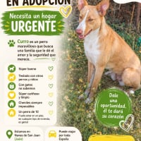 Photo de CURRO