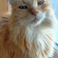 Photo de Indy