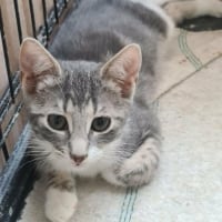 Photo de PACHA