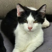 Photo de Darwin