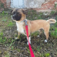 Photo de PEKI