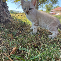 Photo de BOY