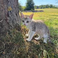 Photo de Bonnie