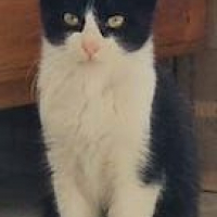 Photo de HORUS