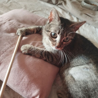 Photo de Maia