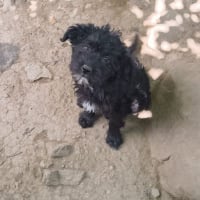 Photo de Nova