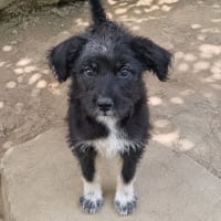 Photo de Nacho