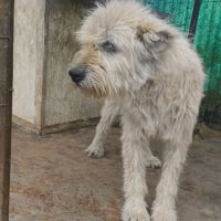 Photo de Vadim