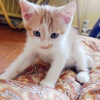 Photo de MILK