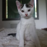 Photo de Jamui