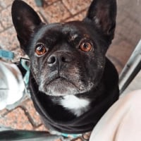 Photo de HAKU