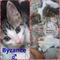 Photo de BYZANCE
