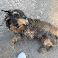 Photo de Luna