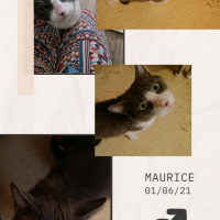 Photo de Maurice