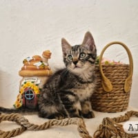 Photo de Alex