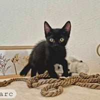 Photo de Marc