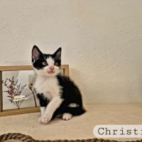 Photo de Christiana