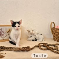 Photo de Izzie
