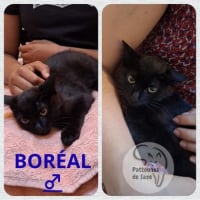 Photo de BORÉAL