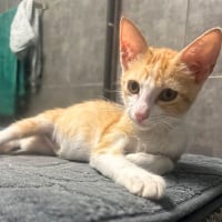Photo de JOSÉ
