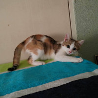 Photo de LILI