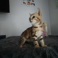 Photo de DOUDOU