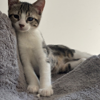 Photo de Zorg