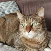 Photo de Chouquinette 