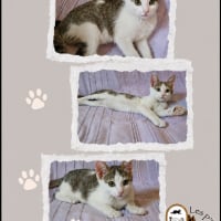 Photo de Benji 