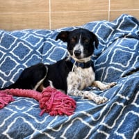 Photo de MILA