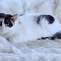 Photo de MOKA