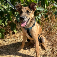 Photo de DUKE