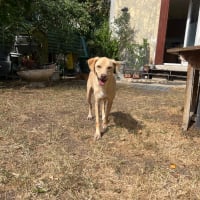 Photo de Niko