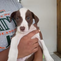 Photo de ASPEN