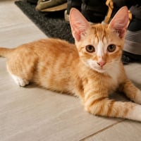 Photo de MÉLO