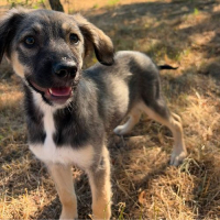 Photo de FREYA