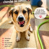 Photo de Oscar