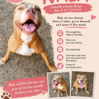 Photo de Nala